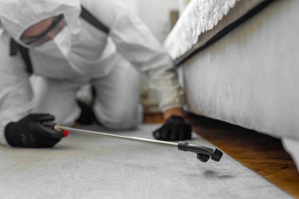 Professional Termite Control technician working in Sturgeon, MO