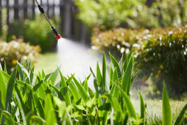 24/7 Emergency Termite Control experts in Sturgeon, MO