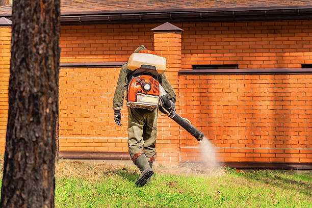 Top rated local Termite Control specialists in Sturgeon, MO